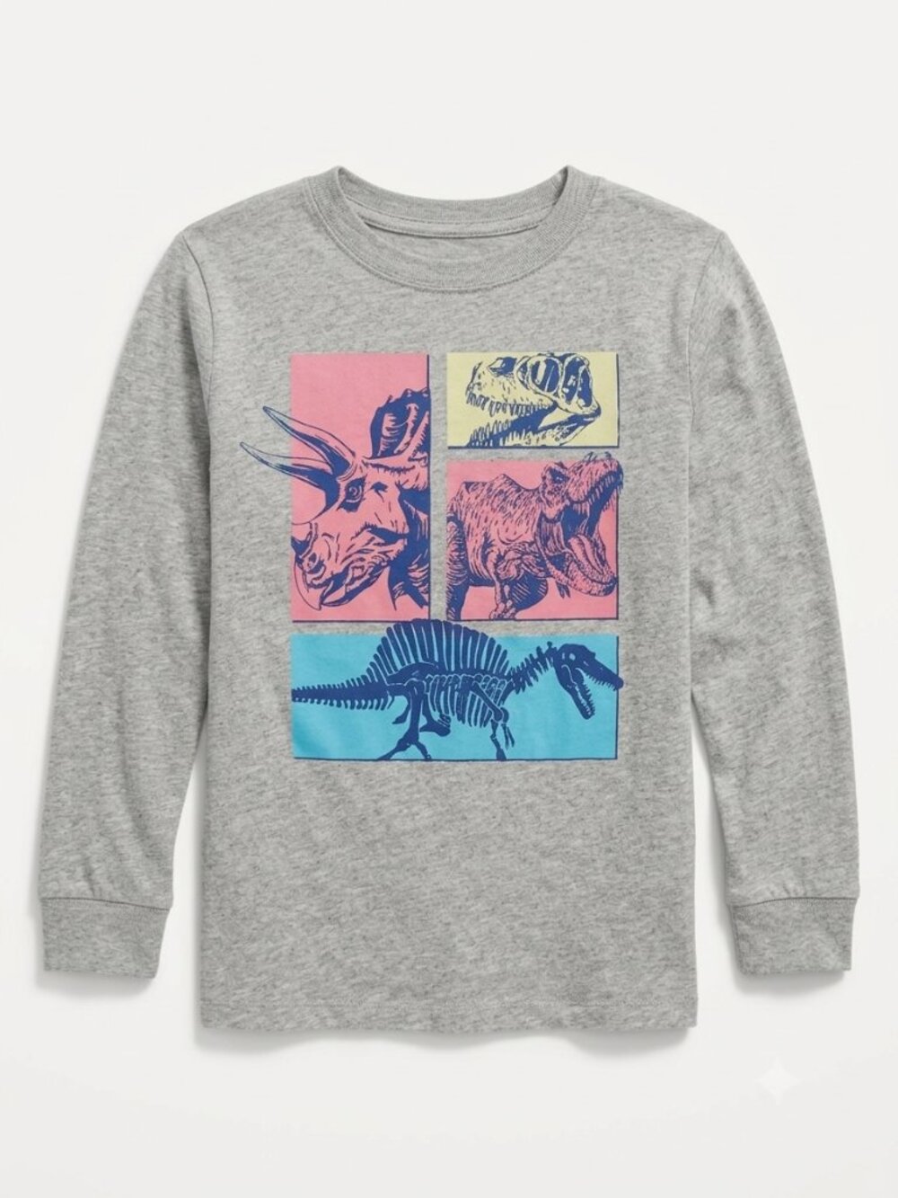Carter's Kid Boys Grey Long Sleeve T-Shirt Dinosaur Graphic Print Size 6